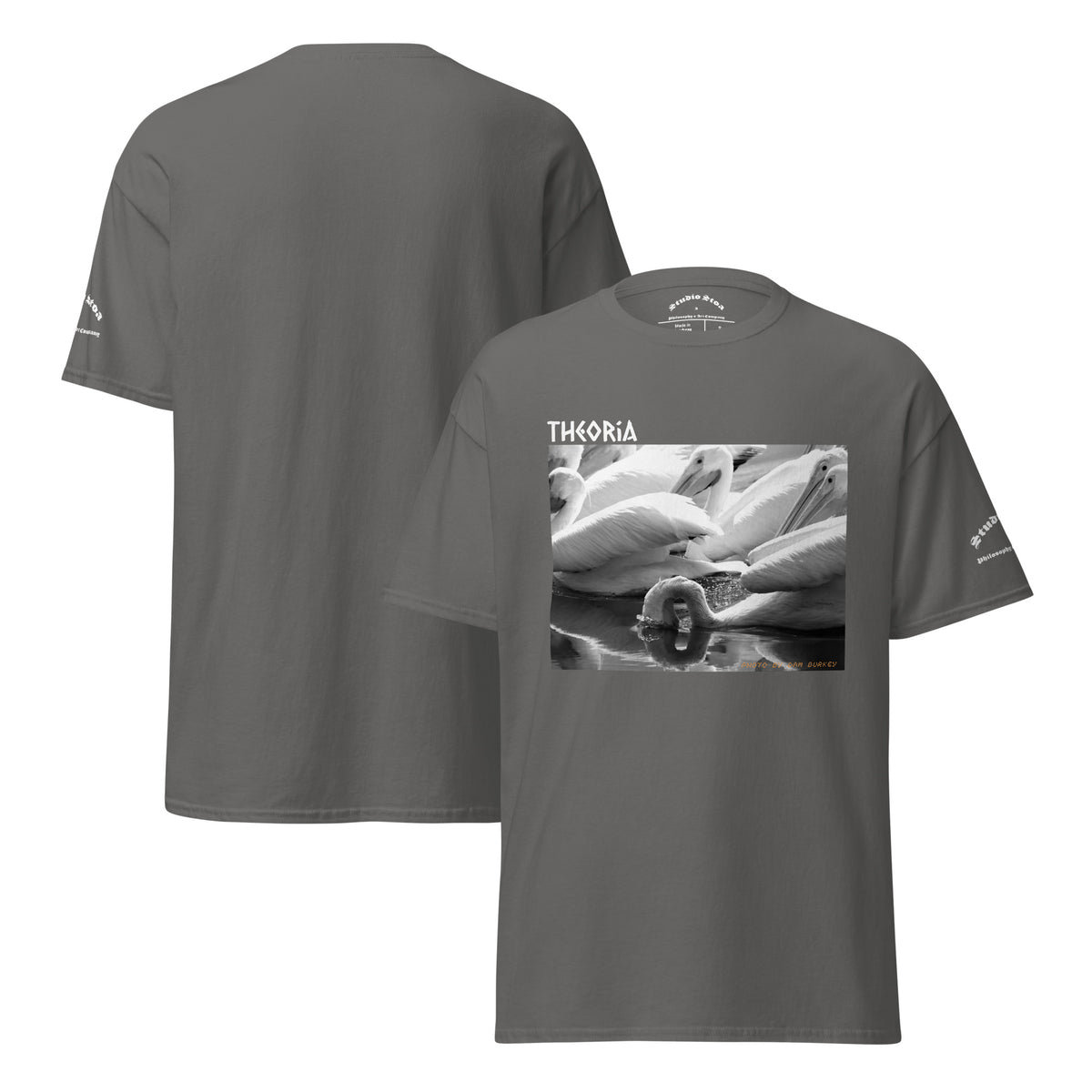 Front and back views of a gray short-sleeve t-shirt. The front features a black and white graphic print of pelicans with the word 'THEORIA' printed in white above it.