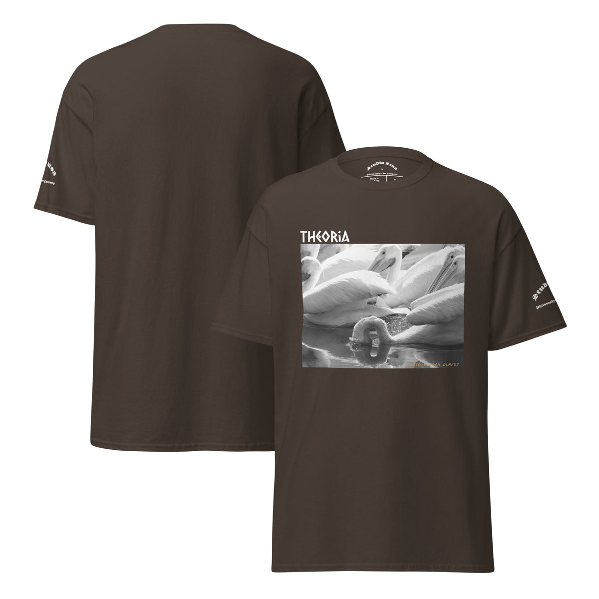 Brown t-shirt mockup of a black and white image of pelicans feeding in the water with the word Theoria above the graphc